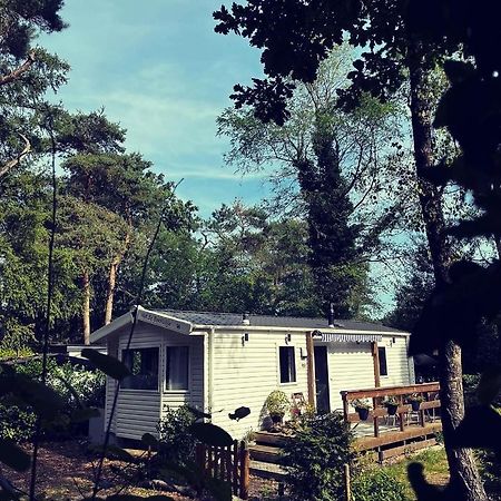 Knus Chalet Midden In De Bossen Nunspeet Exteriér fotografie