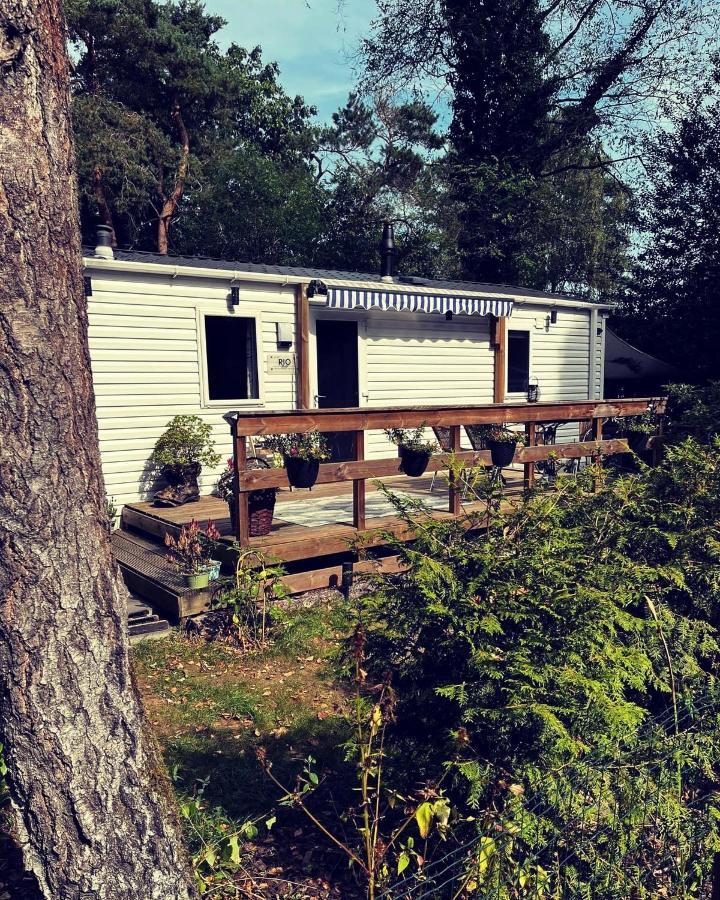 Knus Chalet Midden In De Bossen Nunspeet Exteriér fotografie