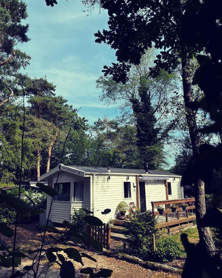 Knus Chalet Midden In De Bossen Nunspeet Exteriér fotografie