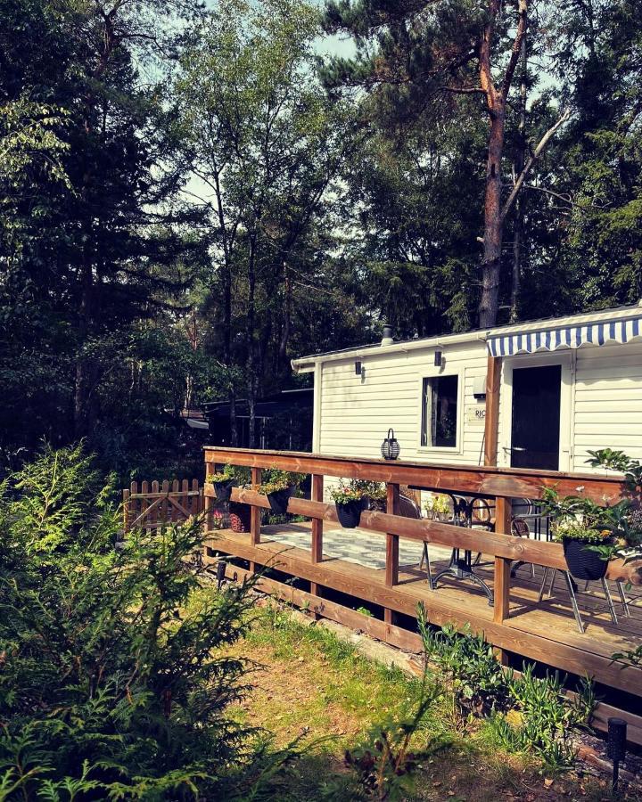 Knus Chalet Midden In De Bossen Nunspeet Exteriér fotografie